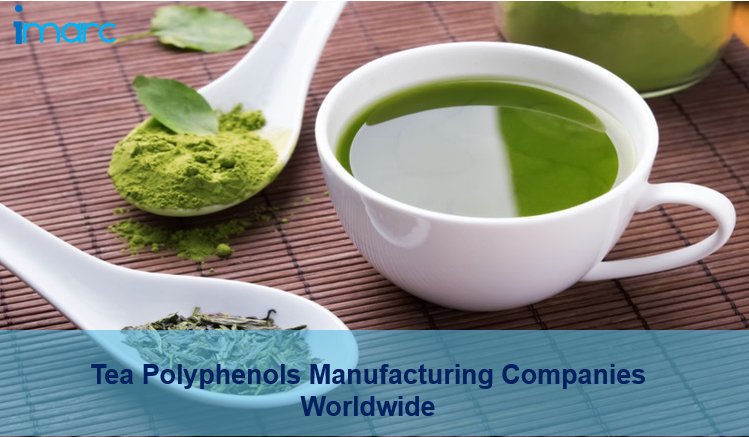 Tea Polyphenols Companies